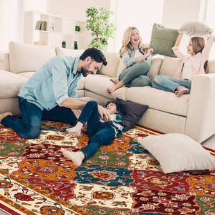 羊绒超细大打理耐脏米亚尺寸卧室客厅底波西地毯可折叠水洗易