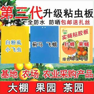 工厂 粘虫板双面黄板诱虫板蓝板针蜂粘胶板果蝇板诱虫贴纸