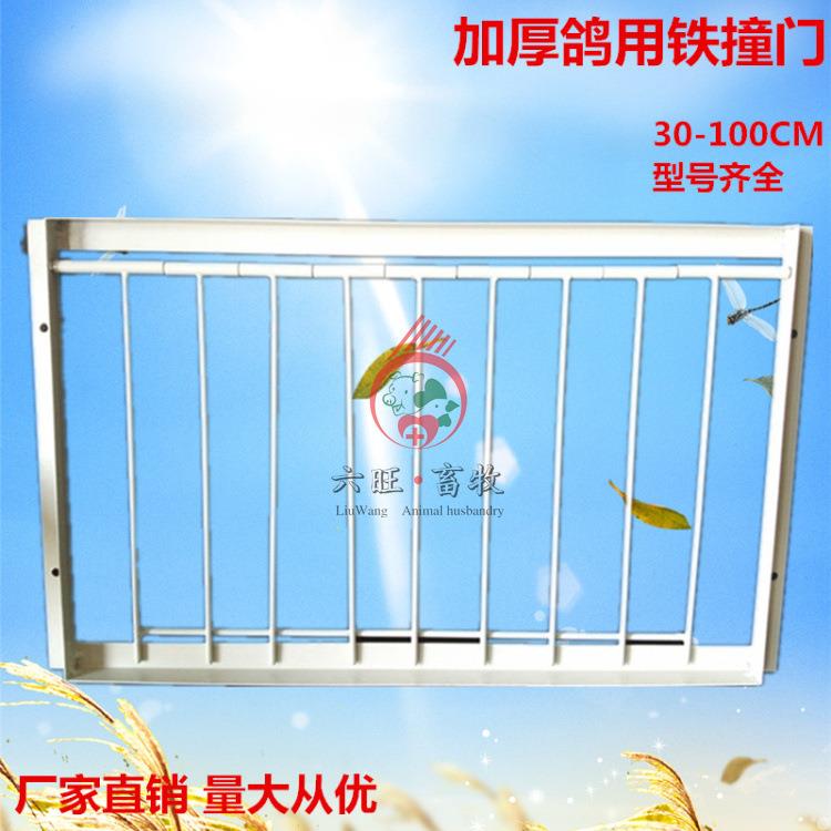 鸽子用品赛鸽活络门 活动门 鸽子跳笼门 碰门 撞门 信鸽撞笼门
