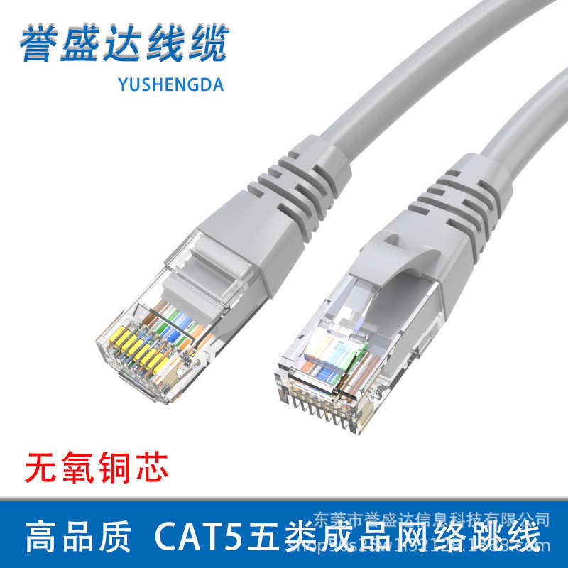 超五类非屏蔽电脑跳线rj45无氧铜成品网线 百兆CAT5E双绞网络跳线