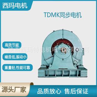 西安电机TDM2000 3250200OW10V矿山用三相同步电动机