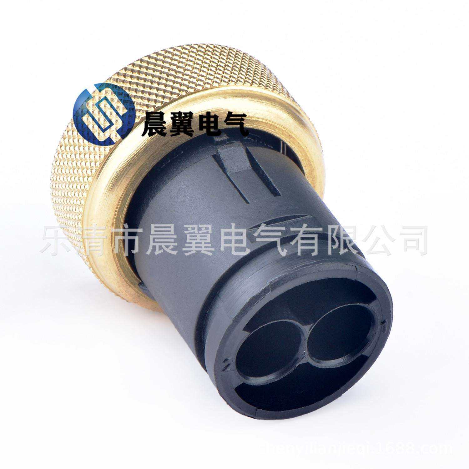 黑色2孔国产连接器防水接插件连接器100283-1