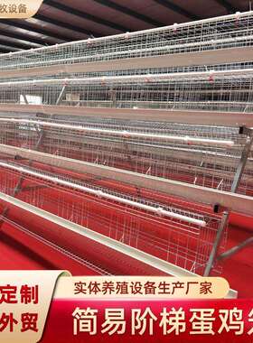 四层五门蛋鸡笼家禽白食槽三层四层阶梯式养殖蛋鸡笼工厂可外贸