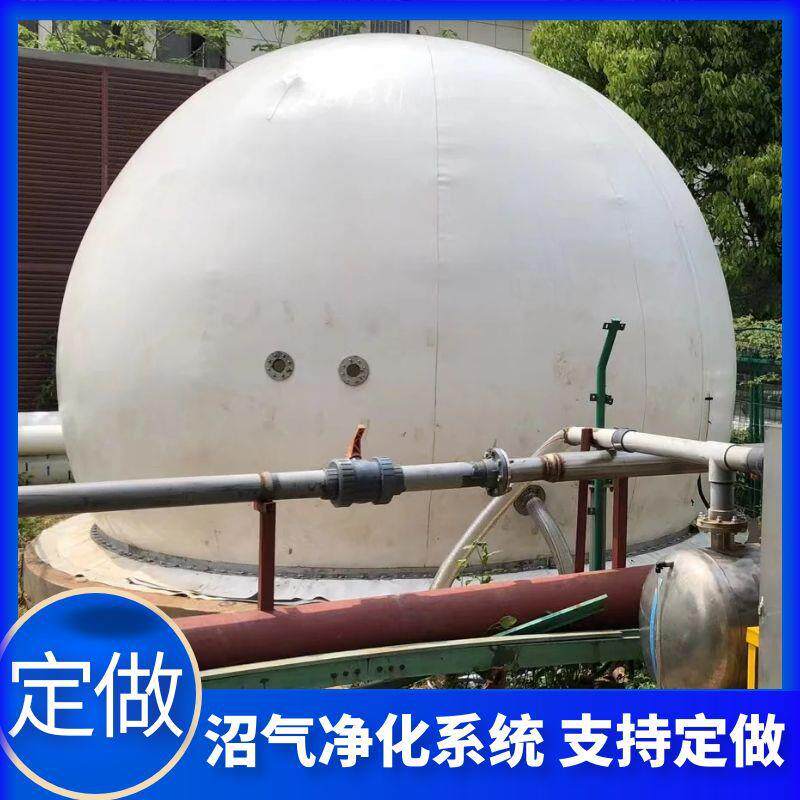 500方双膜气柜污水处理厂食品厂沼气储存设备双膜储气柜厂家