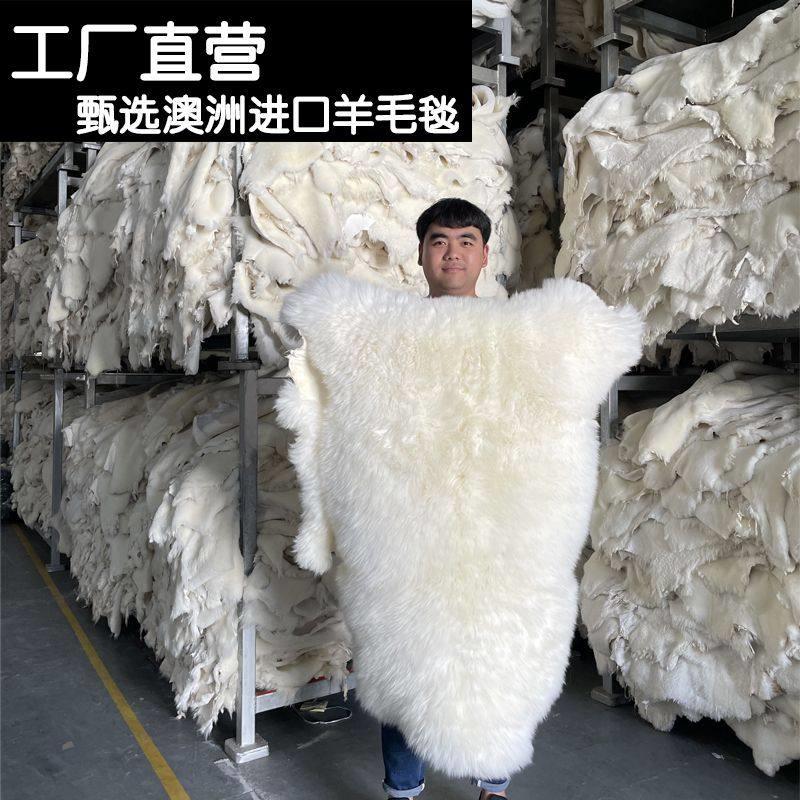 澳洲纯羊毛坐垫客厅羊毛沙发垫飘窗垫羊皮毛一体地垫整张羊皮地毯