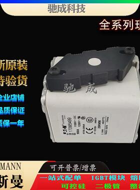 巴斯曼170M5498 170M5499 170M5500 销售供应零售 原装熔断器