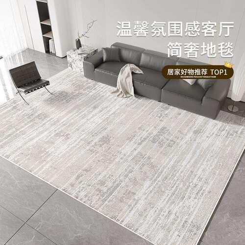 地毯客厅卧室2024新VXV边款防水床洗可免打理家用沙擦发房间地垫
