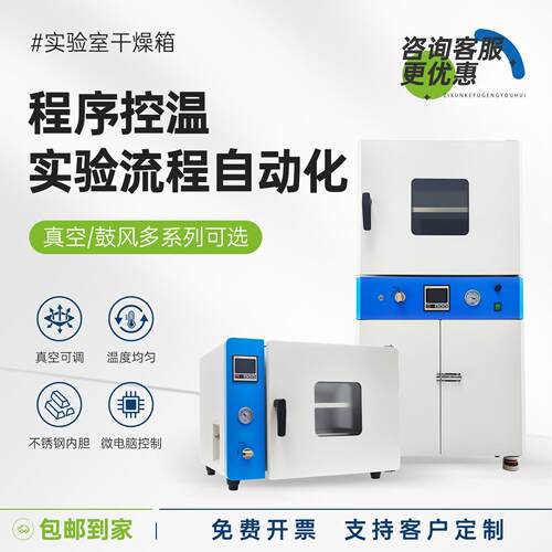 电热恒温鼓风干燥箱实验室烘箱工业烤箱真空烘干箱高温试验箱DHG