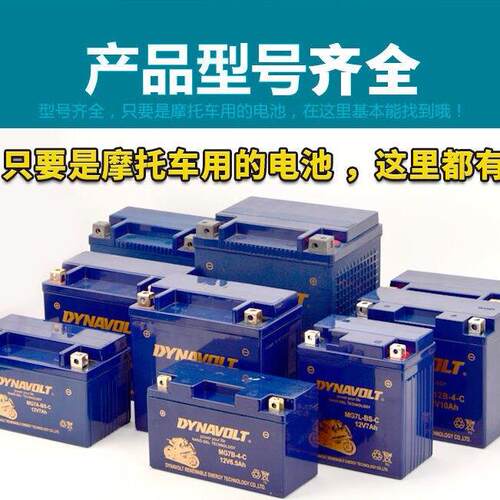 春风动力400NK 650猛狮摩托车电瓶150MK 250国宾12V电池DYNAVOLT