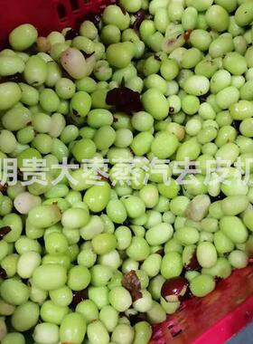去核脆枣加工设备 明贵大型红枣去皮机 物理水果脱皮机器