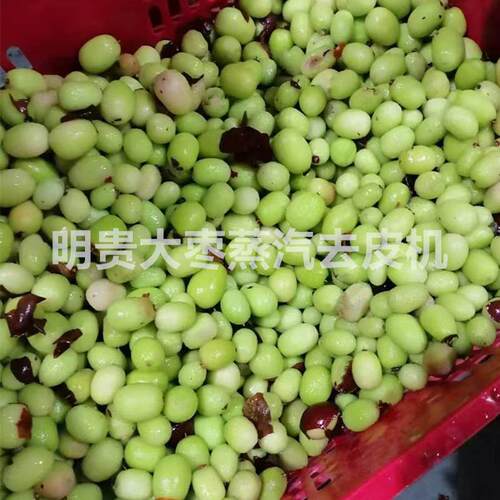 去核脆枣加工设备 明贵大型红枣去皮机 物理水果脱皮机器