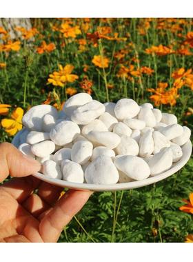 环保透水地坪专用绿色骨料 2-4mm工程级碎石 胶粘石铺装材料