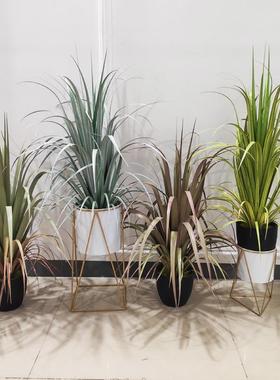 仿真蒲草公英真盆栽绿植JQ-63230景装饰观仿芦苇剑兰草狗尾芦苇盆