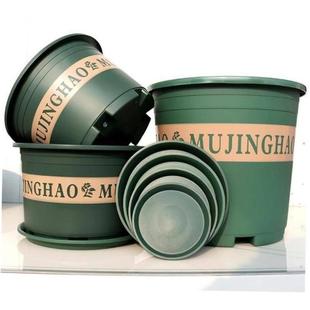 pot plastic plant More green flower trees POTS large