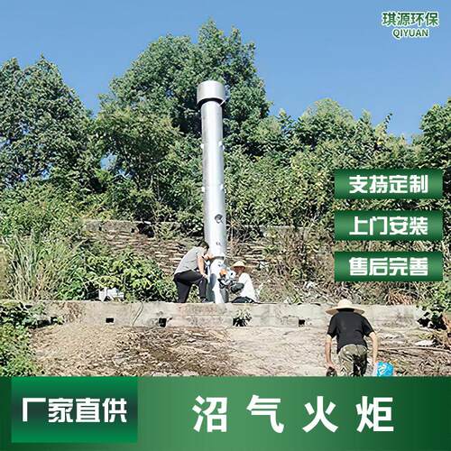 养殖场沼气火炬废气处理全自动沼气燃烧设备填埋场沼气内燃火炬