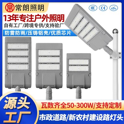 跨境LED户外模组市电路灯城市道路照明路灯300W模组工程路灯灯头