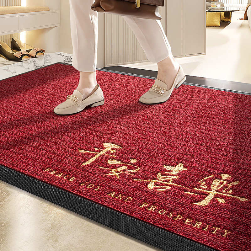 进门地垫2024新款家用入户门垫高级感玄关门口地毯大门乔迁脚垫子