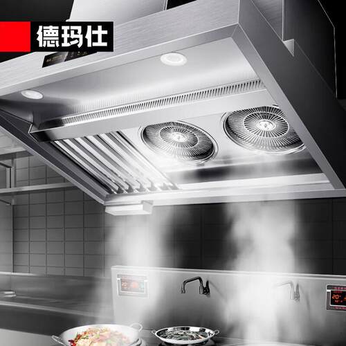 德玛仕 商用油烟净化一体机大吸力高净化不锈钢2米 LZY-YT-J2000