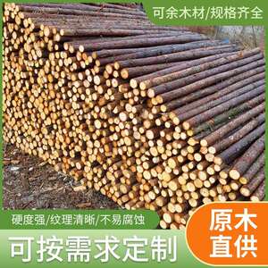 杉木桩河道打桩木方木原木防汛防洪木桩精品檩条园林绿化支撑杆