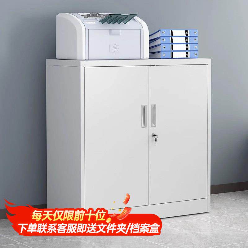 文件柜二门员工资料柜玻璃门带抽屉金属办公收纳防火设计加厚