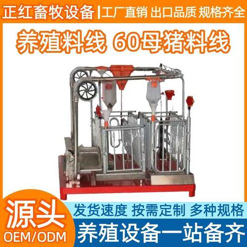 畜牧设备养殖场60母猪料线自动料线养猪场料线