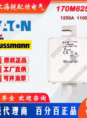 170M6250快速熔断器 1250A 1100V 巴斯曼BUSSMANN快速熔断器