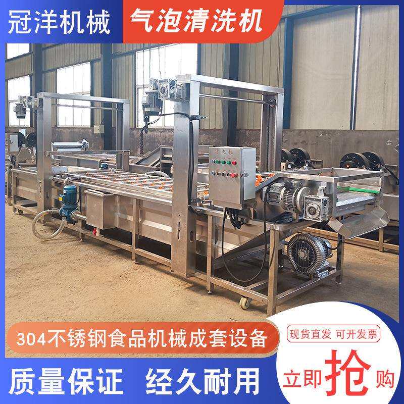 大型冲浪喷淋式清洗机紫甘蓝椰子白芷不锈钢清洗设备供应