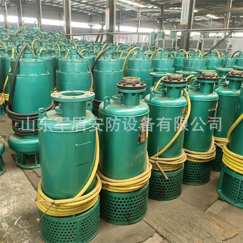 BQS矿用隔爆型排沙潜水电泵防爆潜污泵660v1140BQS200-70-90/Nkw