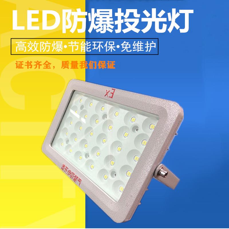 LED防爆投光灯加油站化工厂隔爆型车间照明灯100W防水广告射灯