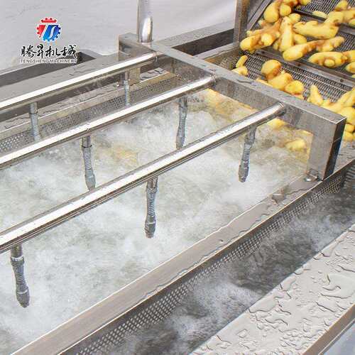农业食品作线 大型风干干机 挑选风台 清洗机提BQI 升机 业规格可