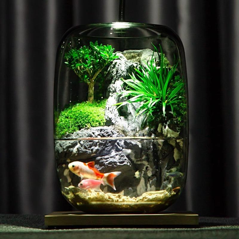 水谣流水鱼缸真植物苔藓微景HGI观生态室瓶创养意办公成品室内云
