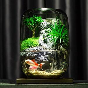 水谣流水鱼缸真植物苔藓微景HGI观生态室瓶创养意办公成品室内云