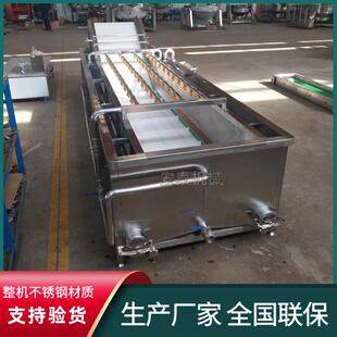 预制菜生产气泡清洗机小苹果泥沙清洗机蘑菇菌菇气泡翻滚清洗机