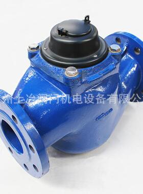 供应垂直螺翼可拆卸式水表WS-50EWS-80EWS-100EWS-65E南瓜型