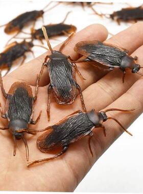 April Fools Day pranks, gifts, tricky props, fake cockroach