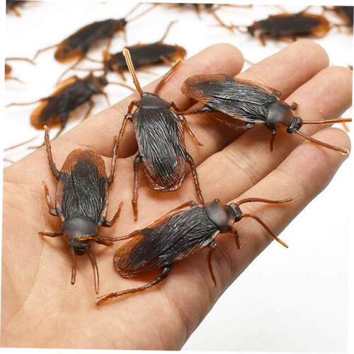 April Fools Day pranks, gifts, tricky props, fake cockroach