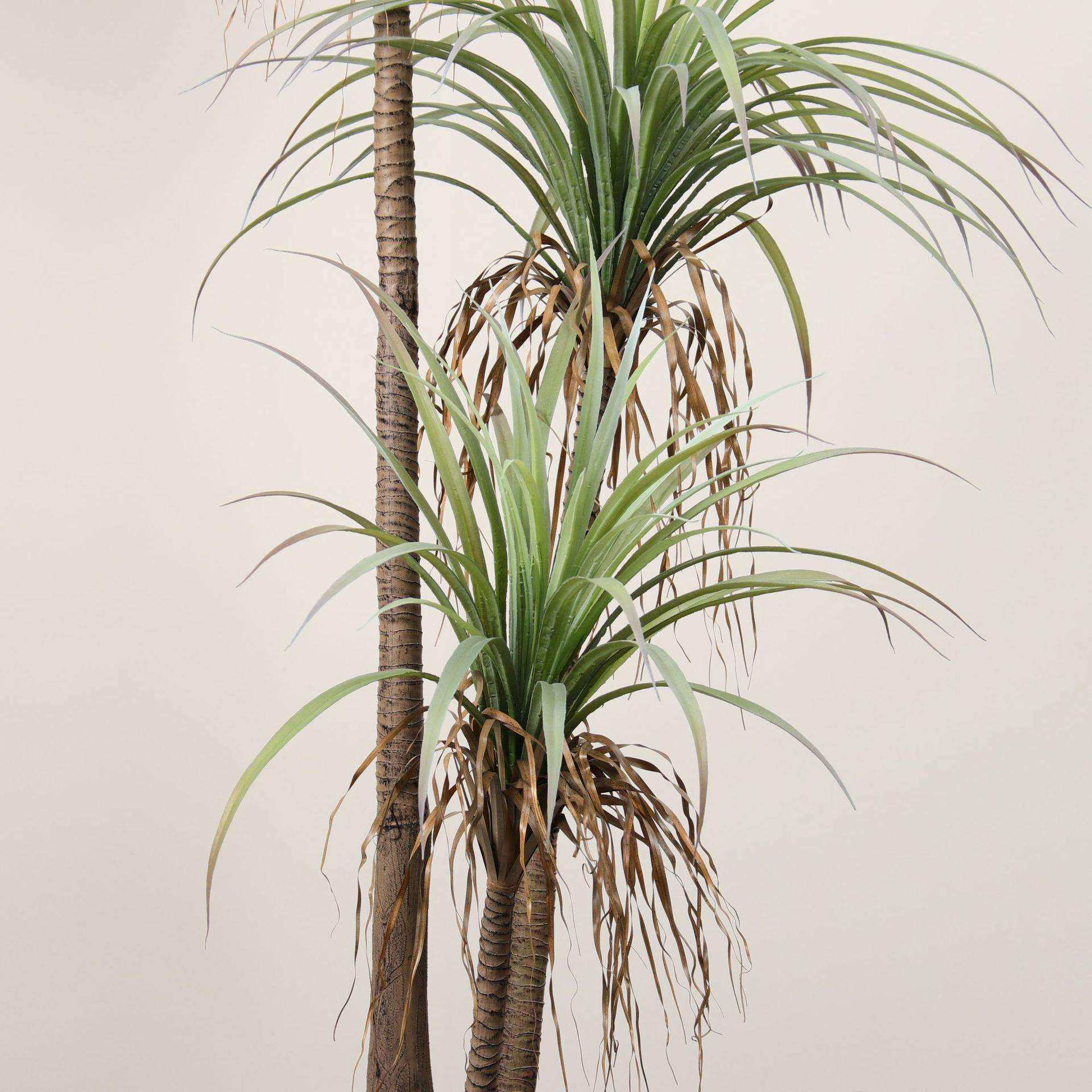 仿真仿真绿植植物真丝兰树造假树盆栽大型凤尾龙舌兰酒店景装摆件