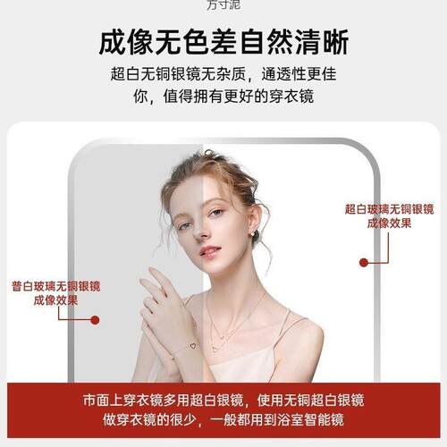 试衣镜现代简约风身落地镜子网红简约少女圆角家用试衣镜卧式穿衣