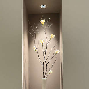 北欧玉兰长枝干花大号花束落地自然干树枝玉兰花玄关手工天然干花