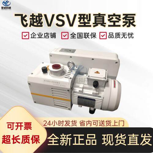 浙江飞越VALUE单级旋片真空泵VSV-63 单级工业真空泵