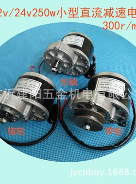 电机有刷直流减速电机12V24V250W 小型机械设备改装直流电机