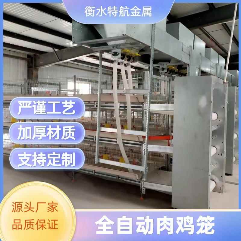 全自动元宝型肉鸡笼框架式养鸡设备畜牧笼养设备镀锌材质