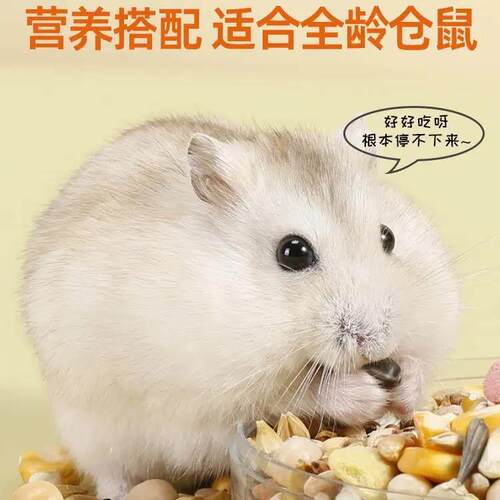 Hamster food snacks with free shipping仓鼠粮食零食海鲜杂粮