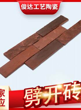 210*55*10劈开砖青灰色别墅外墙烧结砖彩色陶土砖宜兴厂家