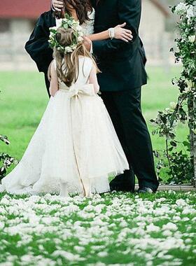 100/500/1000pcs Colorful Romantic Silk Rose Petals Artificia