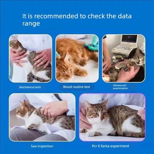 2801口炎传腹靶向药大肚子干湿性消腹水杯状猫用流口水口服软胶囊