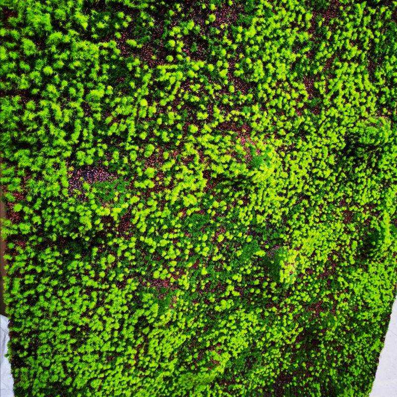 植毛石皮 仿真草皮 草坪 青苔石 假花 植物苔藓 仿真植物墙景草