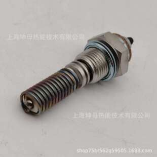 BERU/贝鲁电极头GH010-0102124416
