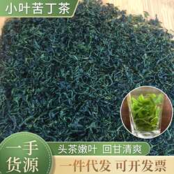 厂家筠连小叶苦丁解渴微苦回甘青山绿水毛冬青花草茶现货速发