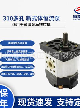 HLCB-D310多孔新式体恒流泵适用于黄海金马拖拉机